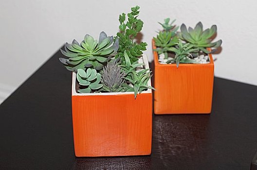 金華保姆月工資多少錢？揭秘金華保姆行業薪資水平與發展前景