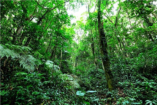 杭州市小時工工資揭秘：賺取零花錢，輕松應對生活壓力