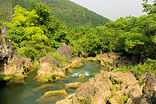 請(qǐng)一個(gè)高級(jí)保姆多少錢？揭開(kāi)優(yōu)質(zhì)家庭護(hù)理服務(wù)的真實(shí)成本