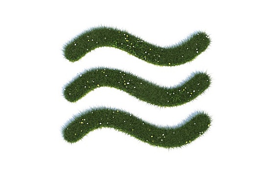 儀征家政公司數量揭秘，誰才是行業中的佼佼者？