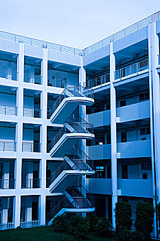 黑煙緬因貓多少錢？讓你了解它的價格與市場動態