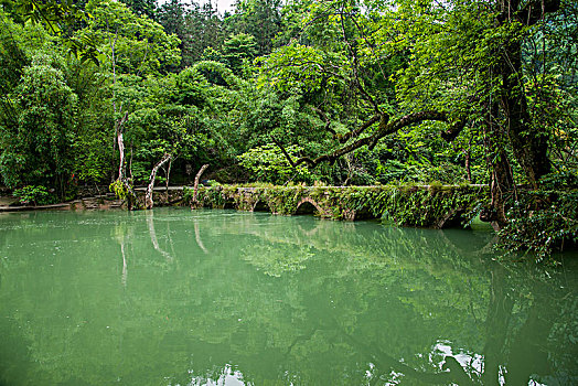 深圳找住家保姆多少錢(qián)？為您揭秘市場(chǎng)價(jià)格與服務(wù)細(xì)節(jié)