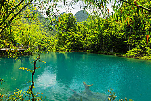 于都月嫂一個(gè)月多少錢(qián)？了解月嫂服務(wù)費(fèi)用及選擇指南