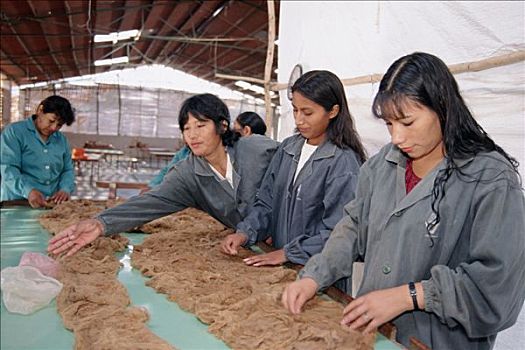 泉州護(hù)工費(fèi)用詳解：為家人提供專業(yè)護(hù)理服務(wù)的最佳選擇
