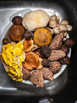 住家看小孩保姆多少錢？讓你了解雇傭保姆的費用與選擇指南！