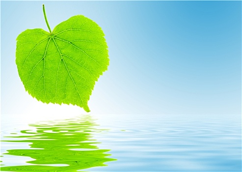溫暖的抱抱多少能回本？——情感與商機(jī)的完美結(jié)合