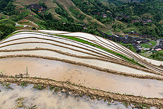 西安找住家保姆多少錢？一文解答您的所有疑問