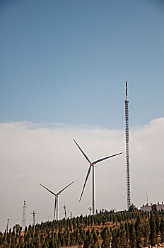 《金剛川票房分析：這部電影能否收回成本？》