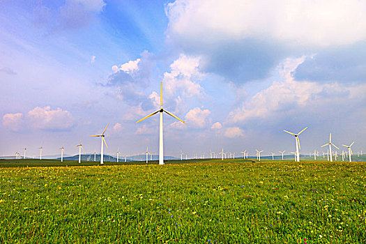 蕭山家政公司電話多少？專業(yè)家政服務助您生活更輕松