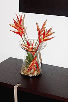 山西月嫂多少錢？全方位解析，讓你了解月嫂服務的價值與選擇！