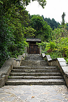 金剛川多少錢一張票？揭秘電影票價格背后的秘密