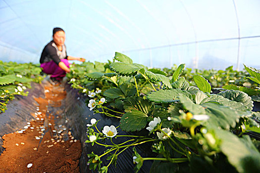 北京住家保姆每月多少錢？了解住家保姆的服務與費用