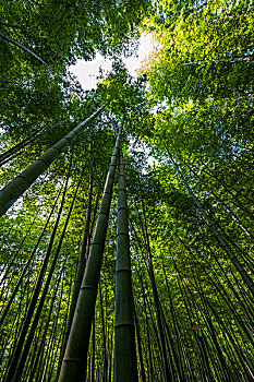 杭州住家阿姨工資多少？揭秘這個行業(yè)的薪資與發(fā)展前景
