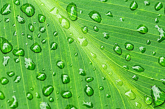 電影大紅包成本揭秘：你不知道的背后故事