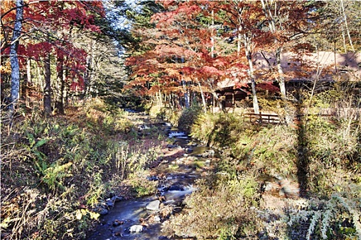 《你好，李煥英》——票房背后的“保本”秘密