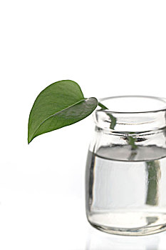 如何考育兒嫂證？詳細(xì)解析育兒嫂證的費(fèi)用和考試內(nèi)容