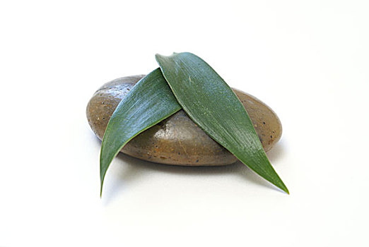 大興區(qū)鐘點工得多少錢？了解一手信息，輕松選擇優(yōu)質(zhì)服務！