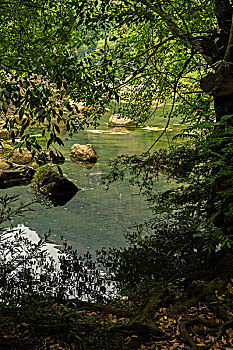 2015年保姆工資大揭秘：一文了解行業(yè)薪資現(xiàn)狀與前景