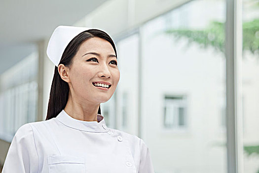 名人多少錢一個月？揭秘明星收入背后的真相