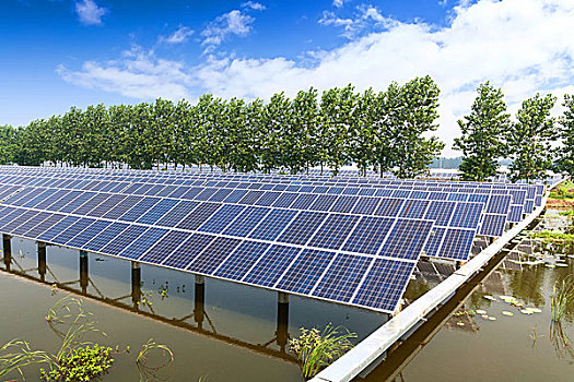 青島多少個家政：揭開家政行業的秘密與未來機遇