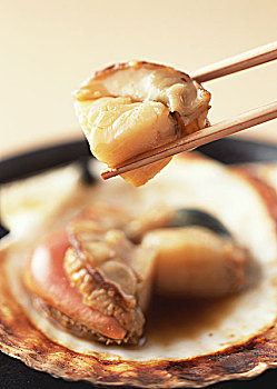 成都鐘點工管理費多少？如何選擇合適的鐘點工服務？