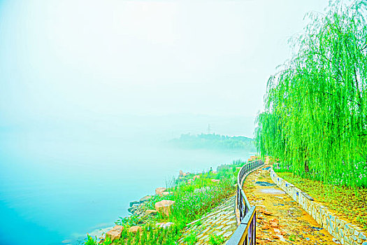 深圳羅湖保姆工資多少錢？深度揭秘背后的薪資趨勢與市場需求