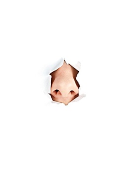 家政服務(wù)多少錢(qián)一個(gè)小時(shí)？輕松掌握價(jià)格，選擇最適合您的家政服務(wù)！