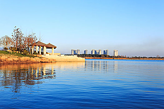 國(guó)際版抖音點(diǎn)贊多少有錢(qián)？揭秘背后的賺錢(qián)機(jī)制！