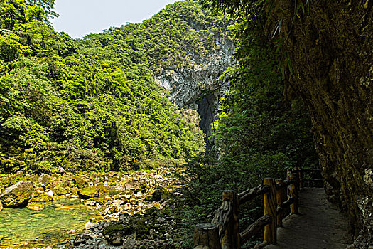 西安市家政行業發展現狀與前景分析