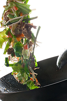 緬因家養多少錢一只？揭開緬因貓價格背后的秘密