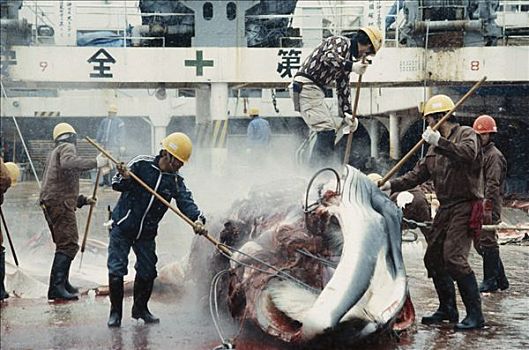 浦東新區(qū)住家保姆多少錢？揭秘行業(yè)內(nèi)幕與價格趨勢！