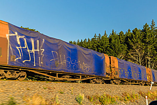 醫(yī)院護(hù)工多少錢(qián)一天？了解護(hù)理費(fèi)用，輕松選擇專業(yè)服務(wù)！