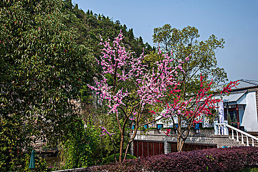 育嬰師大概多少錢？揭秘育嬰師服務市場價格，帶你全面了解選擇育嬰師的成本