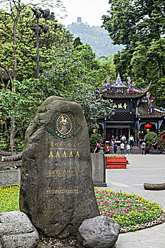 純白緬因貓多少錢一只？了解純白緬因貓的價格與市場動向