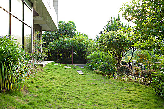 深圳住家阿姨工資多少？了解深圳住家阿姨工資背后的秘密！