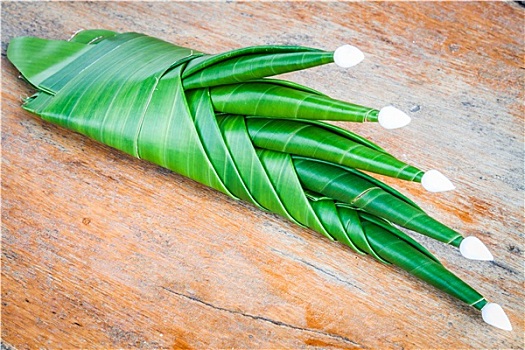 保姆的電話(huà)號(hào)碼是多少？為您揭秘如何找到專(zhuān)業(yè)的家庭護(hù)理服務(wù)