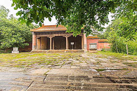 上海請(qǐng)住家保姆多少錢？解密上海住家保姆的價(jià)格與選擇