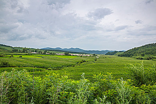 重慶住家保姆多少錢？全方位解析重慶住家保姆的價格與選擇