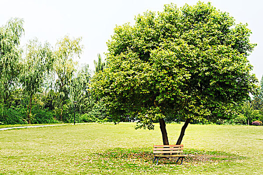 照顧病人保姆多少錢一月？專業(yè)護(hù)理服務(wù)價(jià)格揭秘