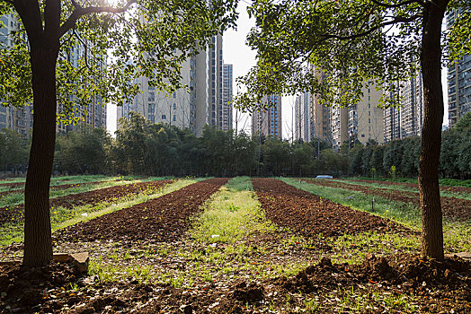 阜寧不住家保姆多少錢？讓您更清楚選擇高性價比保姆的秘訣