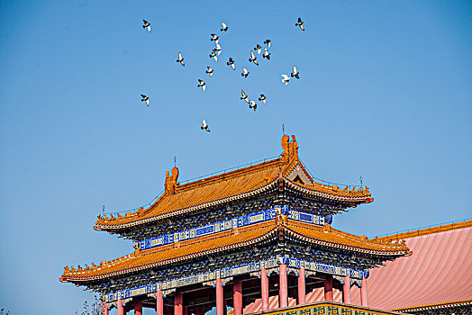 深圳當保姆一個月多少錢？揭秘深圳保姆市場的真實價格與行業內幕