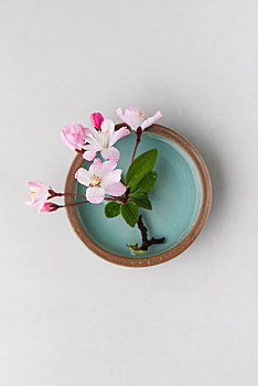 美國(guó)月嫂多少錢一個(gè)月？揭秘美國(guó)月嫂服務(wù)的價(jià)格與背后的價(jià)值