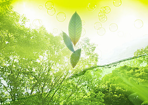 做飯家務(wù)保姆多少錢(qián)？讓我們來(lái)幫你解答