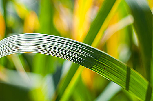 杭州鐘點(diǎn)工服務(wù)，您身邊的貼心幫手，享受高質(zhì)量生活