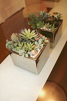 北京家政培訓(xùn)費(fèi)需多少？全面解析家政行業(yè)發(fā)展及培訓(xùn)費(fèi)用