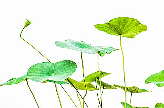深圳保姆一月多少錢？一站式了解深圳保姆的價格與服務(wù)