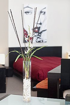 濟南請保姆多少錢一個月？揭開保姆費用背后的真相