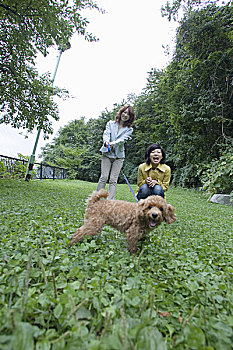 上海住家保姆月薪多少錢？揭示薪資背后的市場趨勢