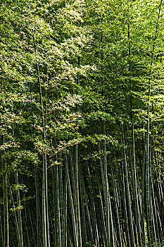 醫(yī)護(hù)保姆多少錢一個(gè)月？讓我們?yōu)槟议_答案