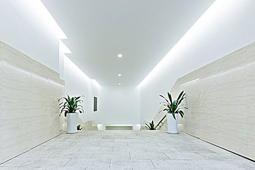 鄭州有多少個家政公司？揭秘鄭州家政行業的市場潛力與發展前景